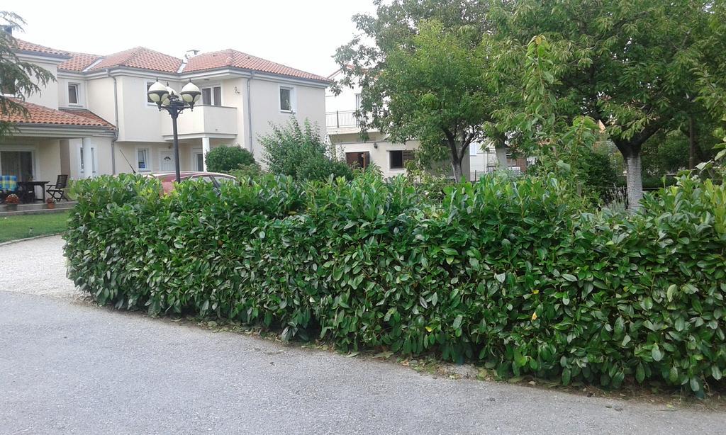 Apartment Casa Eni Drazice Екстериор снимка