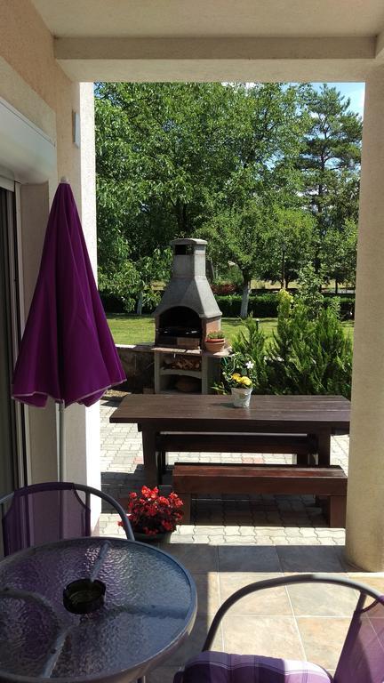 Apartment Casa Eni Drazice Екстериор снимка